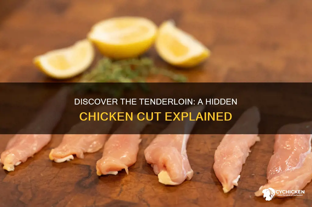 what part of a chicken is tenderloin