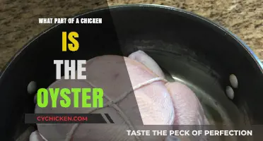 Discovering the Chicken Oyster: A Hidden Culinary Gem Explained