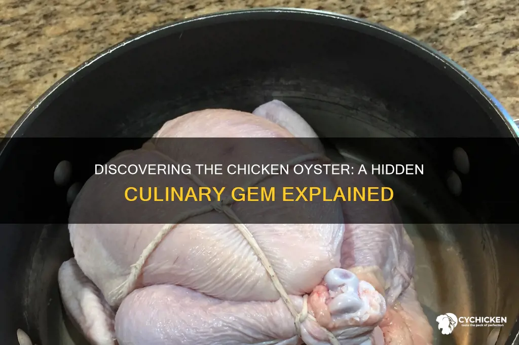 what part of a chicken is the oyster