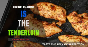 Discover the Chicken Tenderloin: Location, Uses, and Cooking Tips