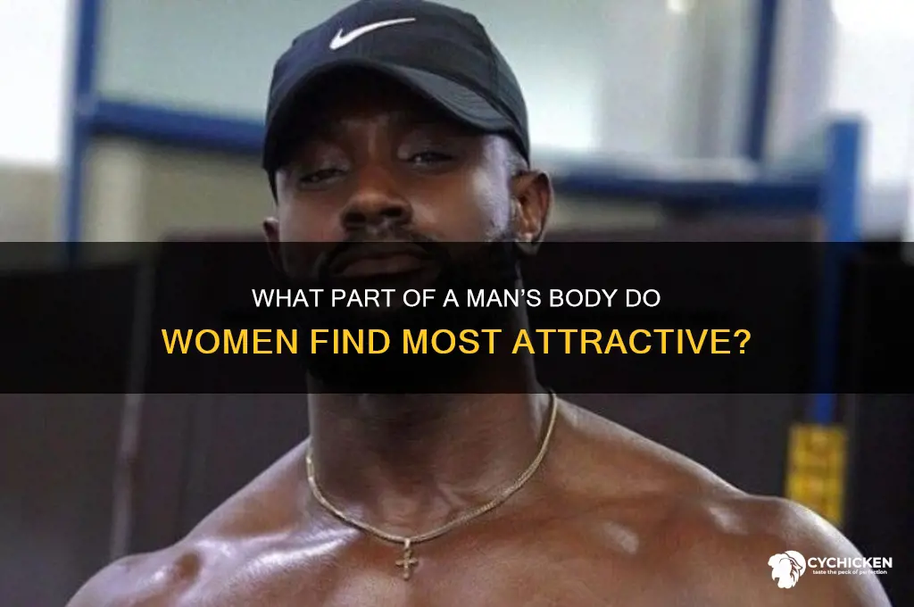 what part of body do chicks like