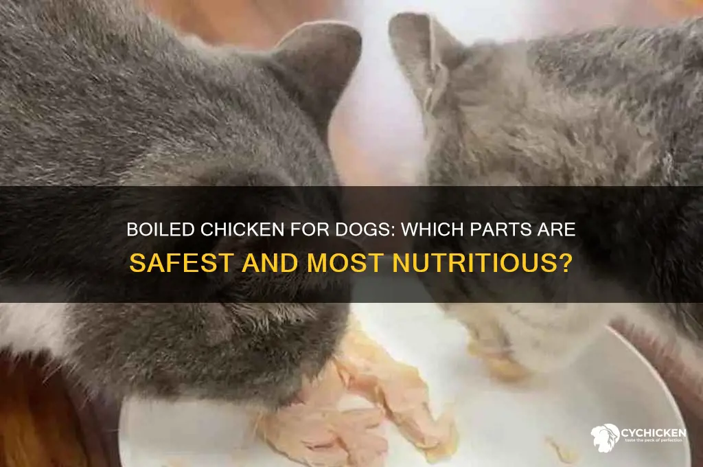 what part of boil chicken best for dogs