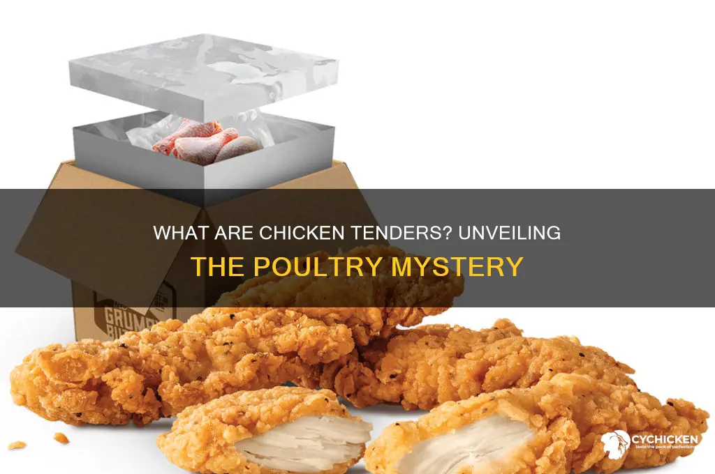 what part of chicken are chicken tenders