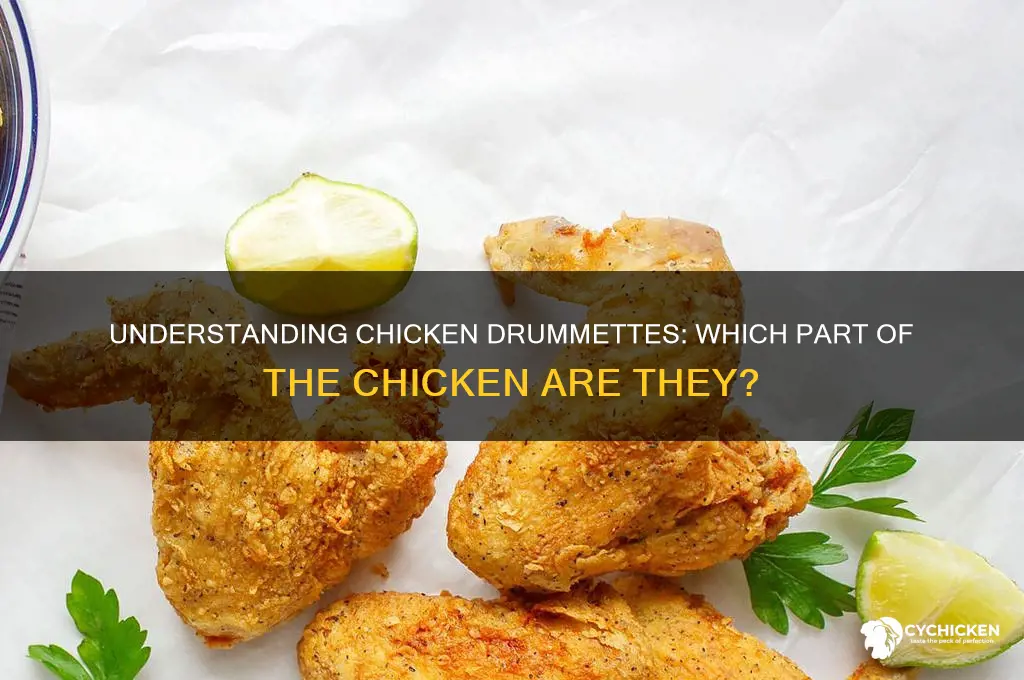 what part of chicken are the drummettes