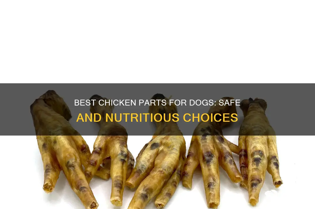 what part of chicken best for dogs
