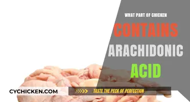 Discover the Chicken Part Rich in Arachidonic Acid: A Guide