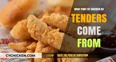 Where Do Chicken Tenders Come From? Uncovering the Poultry Mystery