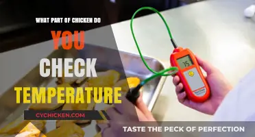Where to Check Chicken Temperature for Perfectly Cooked Poultry