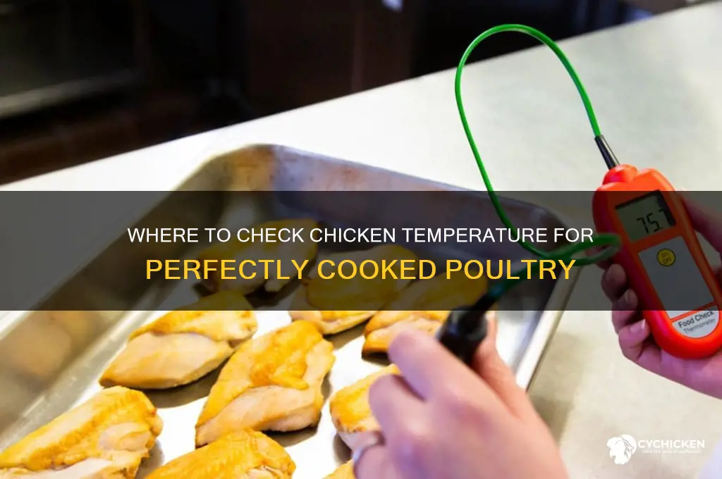 what part of chicken do you check temperature