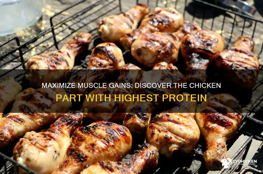 what part of chicken has highest protein