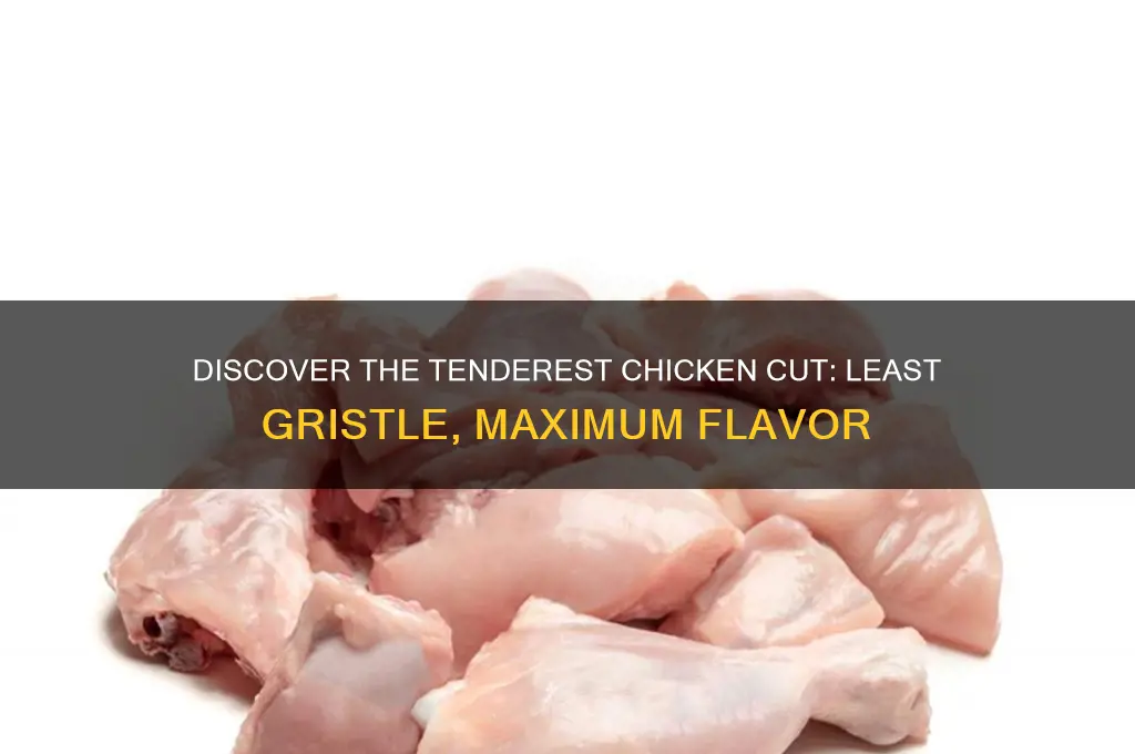 what part of chicken has least grissle