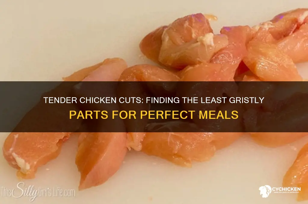 what part of chicken has least gristle
