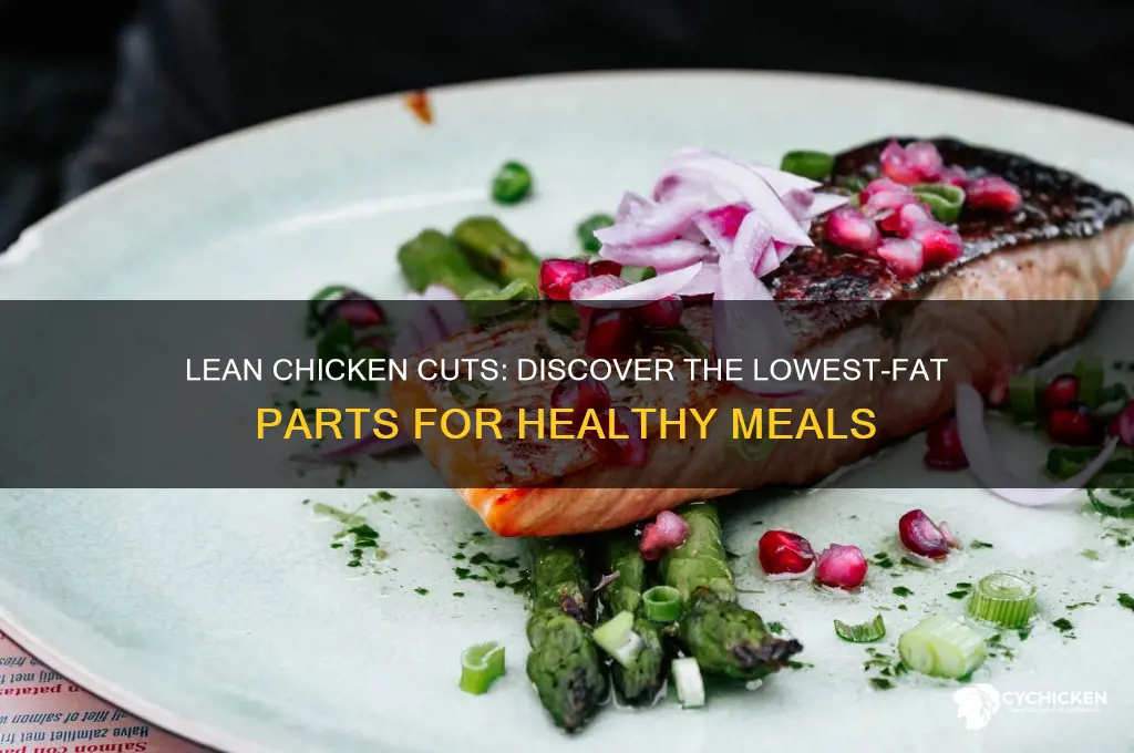 what part of chicken has less fat