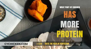 Maximize Your Protein Intake: Discover the Chicken Part with Highest Protein
