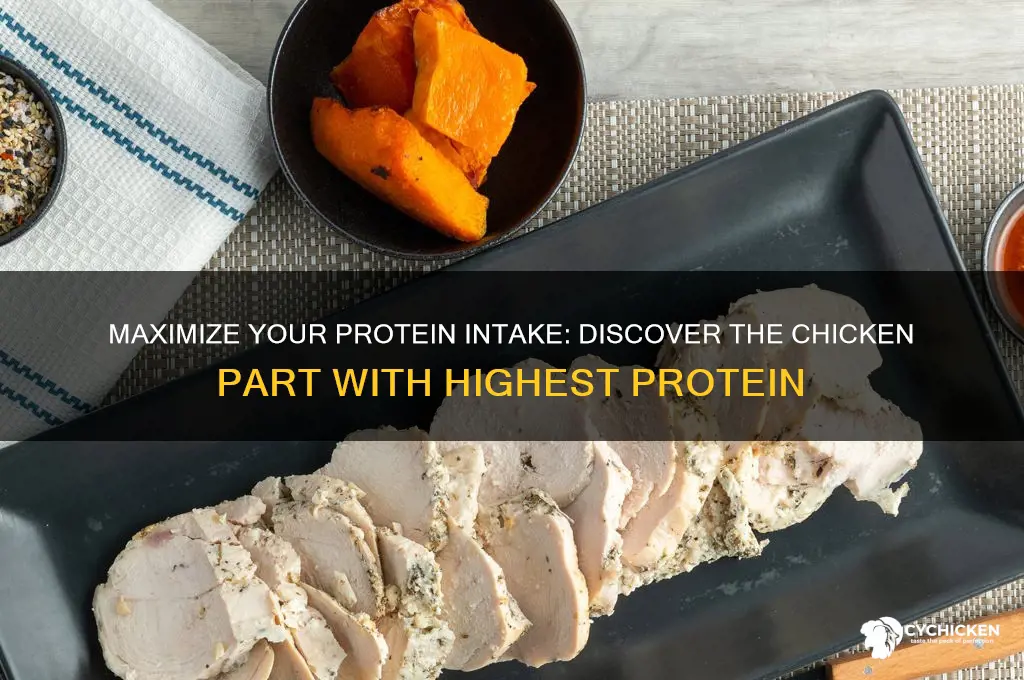 what part of chicken has more protein