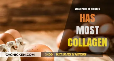 Discover the Chicken Part Packed with the Most Collagen