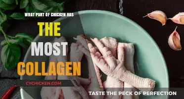 Unlocking Collagen Secrets: Which Chicken Part Boosts Skin Health Most?