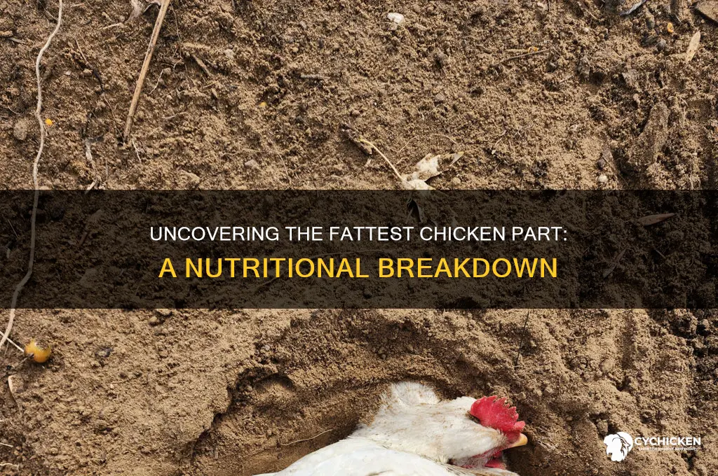 what part of chicken has the most fat