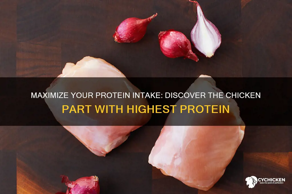 what part of chicken has the most protein
