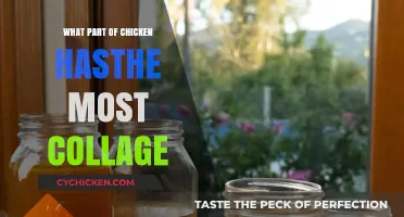 Discover the Chicken Part with the Highest Collagen Content