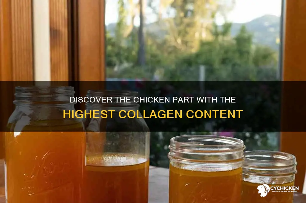 what part of chicken hasthe most collage
