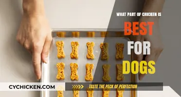 Best Chicken Parts for Dogs: Safe and Nutritious Options Revealed