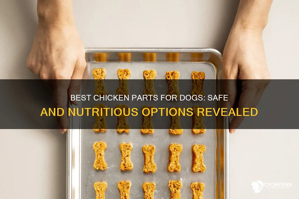 what part of chicken is best for dogs