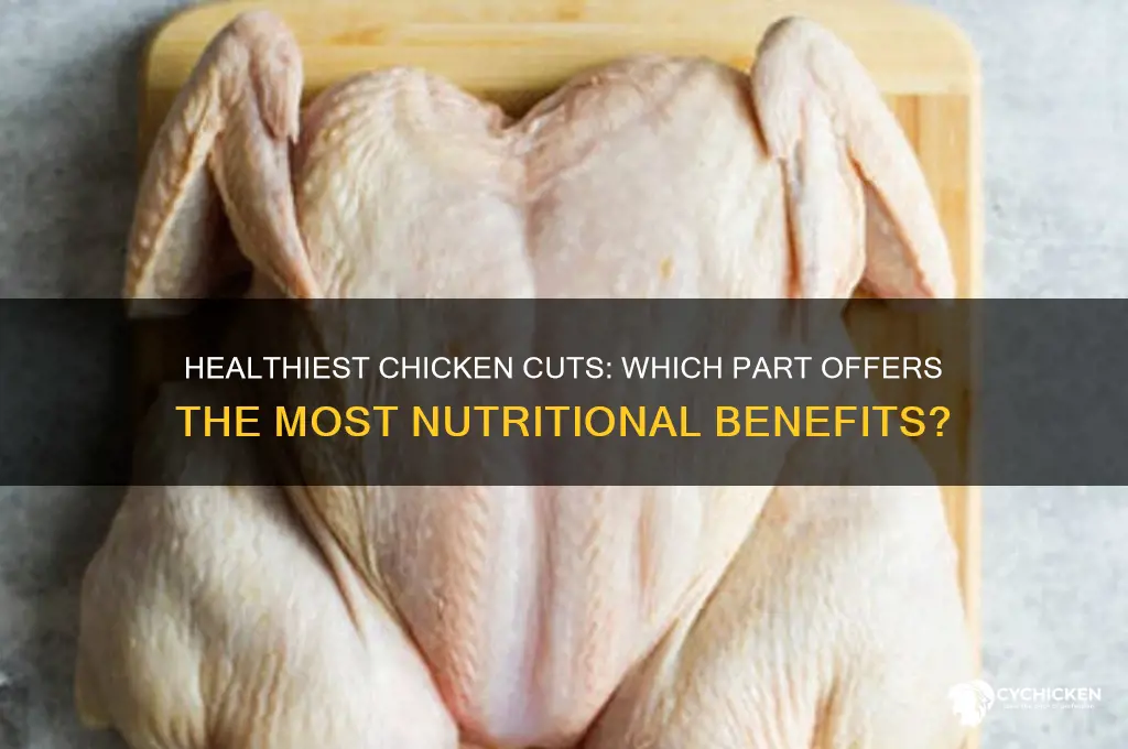 what part of chicken is best for you
