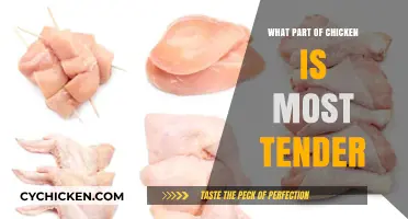 Discover the Most Tender Chicken Part for Juicy, Flavorful Meals