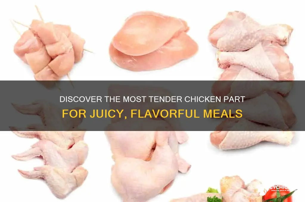 what part of chicken is most tender