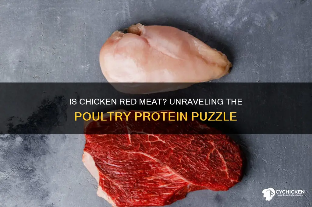 what part of chicken is red meat