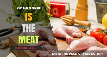 Understanding Chicken Cuts: Which Parts Yield the Most Meat?
