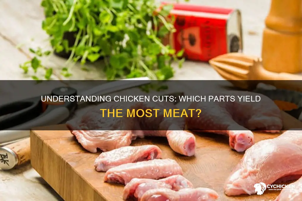 what part of chicken is the meat
