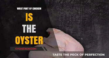 Discover the Hidden Gem: The Chicken Oyster Explained