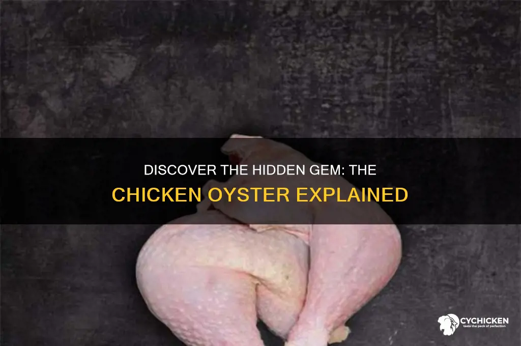 what part of chicken is the oyster