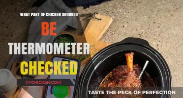 Where to Check Chicken Temp: The Right Spot for Safe Cooking