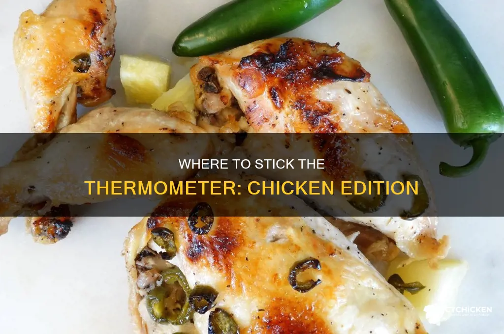 what part of chicken to put thermometer for doneness