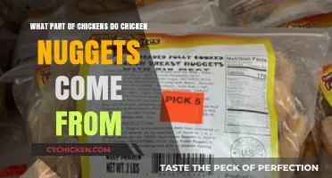 Unveiling the Truth: Which Chicken Parts Make Your Favorite Nuggets?