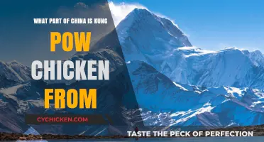 Kung Pow Chicken: Exploring Its Chinese Origins