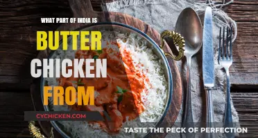 The Origins of Butter Chicken: A Culinary Journey Through India