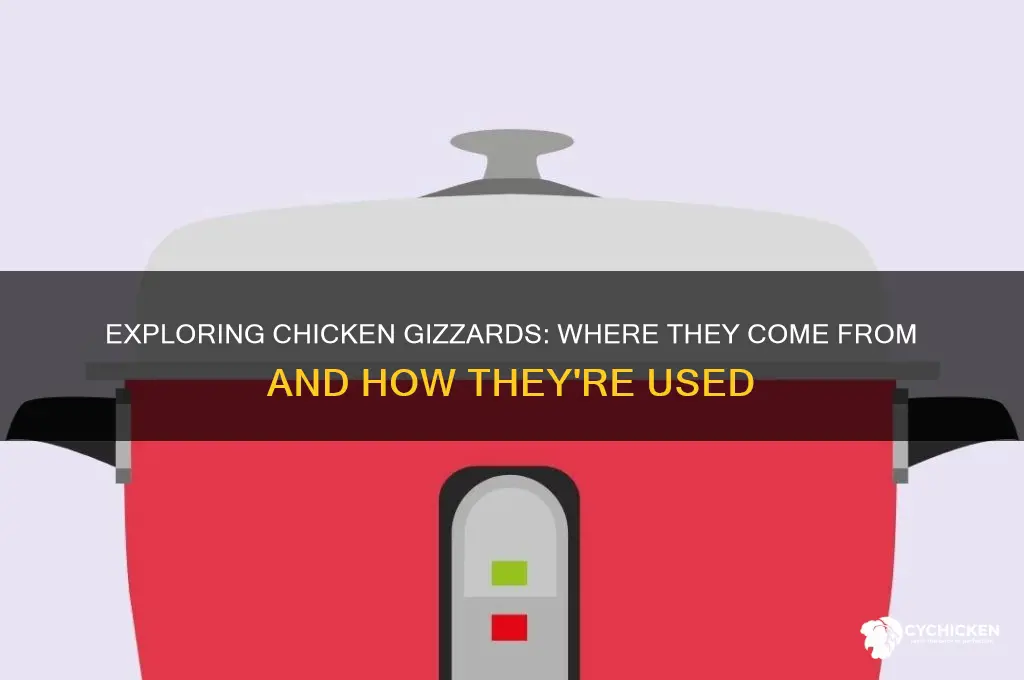 what part of the bird is a chicken