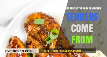 The Origin of Chicken Tenders: Where Do They Come From?