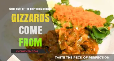 Exploring Chicken Gizzards: Their Origin and Culinary Uses