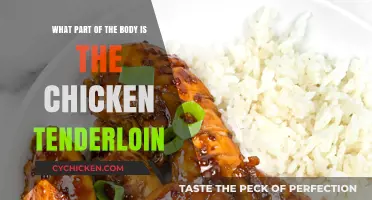 The Tender Story: Where Do Chicken Tenderloins Come From?