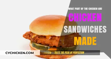What Part of the Chicken is Used in Chicken Sandwiches?