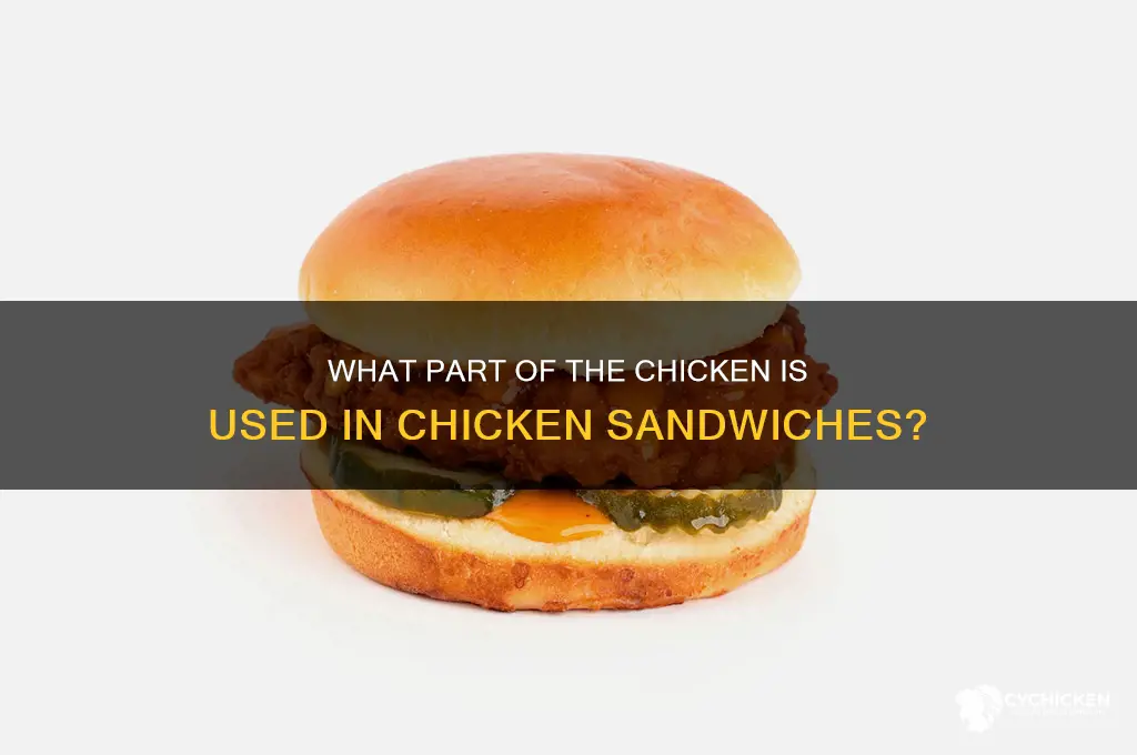 what part of the chicken are chicken sandwiches made