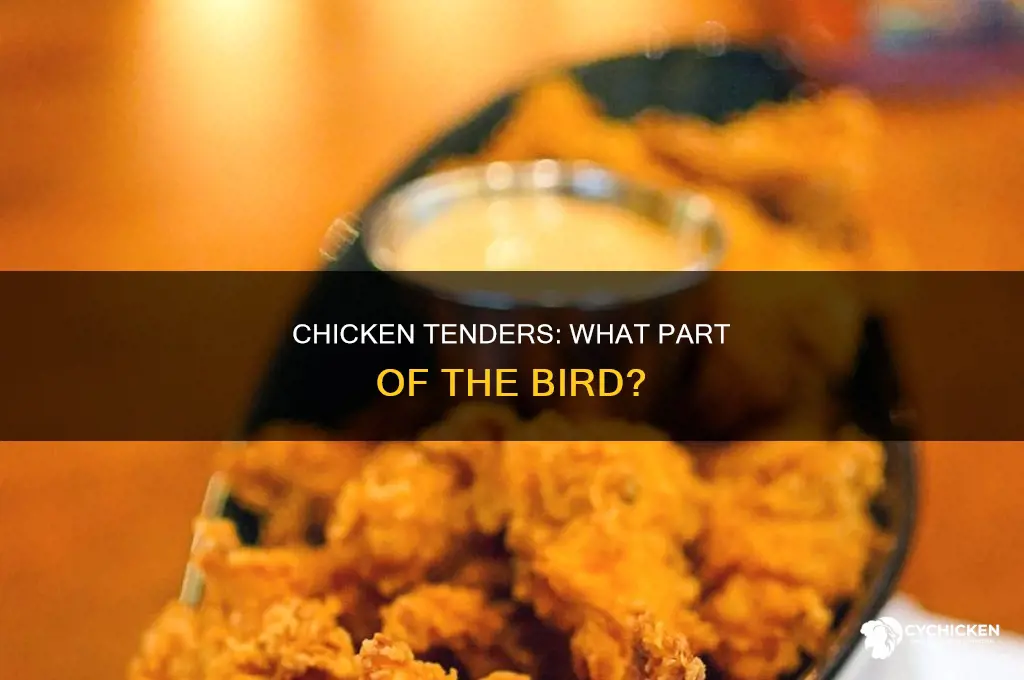 what part of the chicken are chicken tenders made from