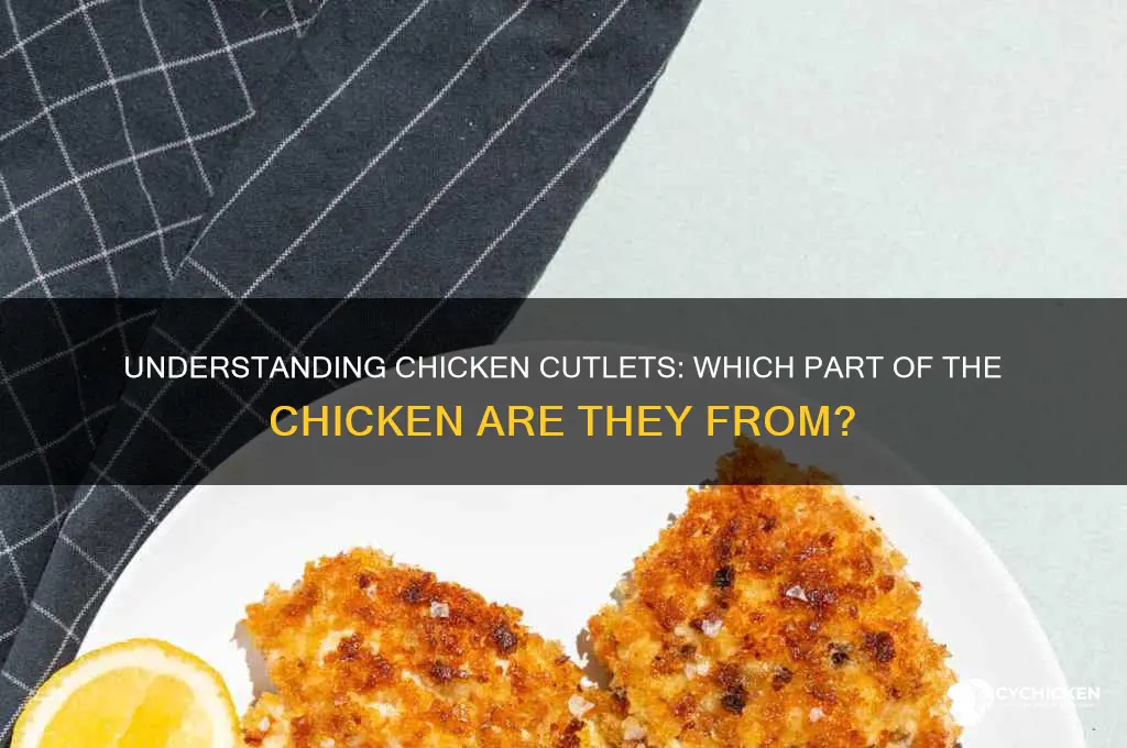 what part of the chicken are cutlets from
