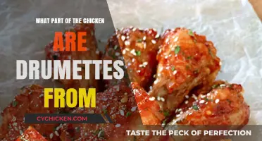 What Are Chicken Drumettes? Uncovering the Delicious Wing Section