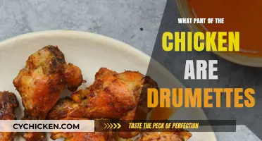 Drumettes Unveiled: Understanding This Tasty Chicken Wing Section
